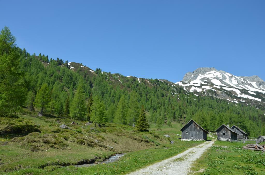 Apartamento Urlaub Am Kraeutlhof In Mariapfarr Habitación foto